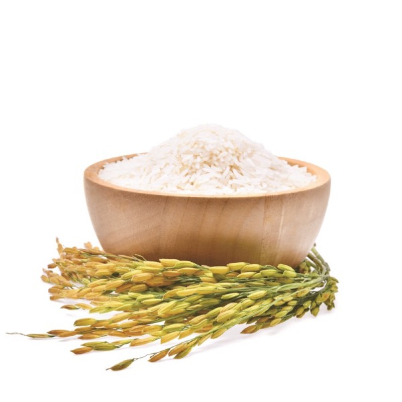 Gạo ST25 – Vì sao được vinh danh là gạo ngon nhất thế giới