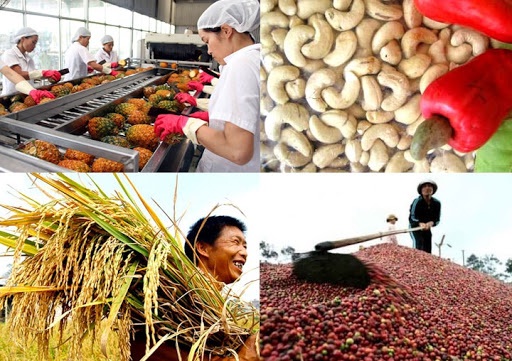 Xuất khẩu nông sản Việt Nam và những thách thức